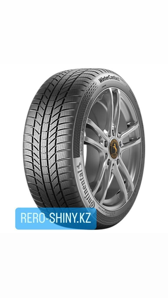 Continental WinterContact TS 870 P 285/35/R21